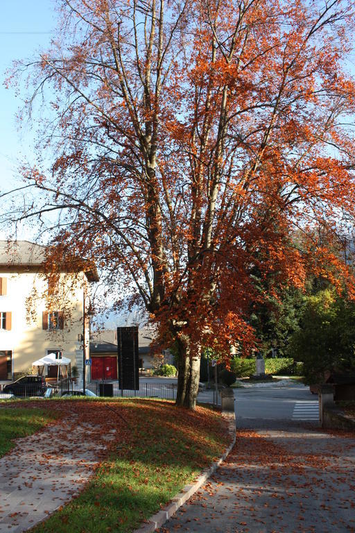 Garni Villa Waiz Rundscheinberg Exterior foto